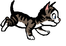 Gato
