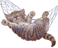 Gato