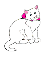 Gata blanca