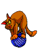 Gato