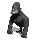 Gorila