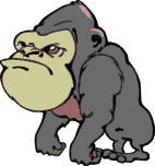 Gorila