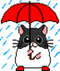 Hamster