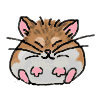 Hamster