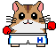 Hamster
