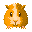 Hamster