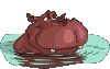 Hipopotamos