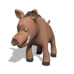 Jabali