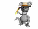 Koala