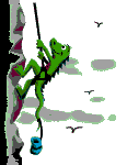 lagarto