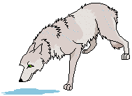 perro lobo