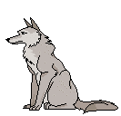 lobo