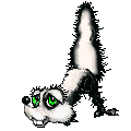 Mofeta