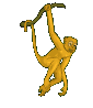 Monos