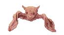 Murcielago