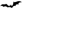 Murcielagos