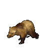Oso