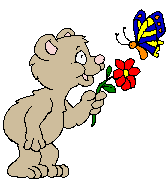 Oso