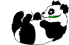 Oso panda