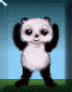 Oso panda