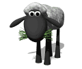 Oveja