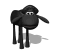 Oveja negra