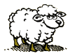 Oveja blanca