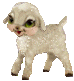 Oveja
