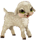 Oveja