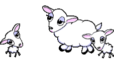 Ovejas