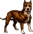 Perro