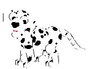 perro dalmata