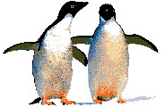 Pingino