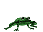 Rana