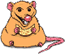 Rata