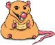 Rata