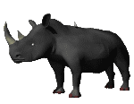Rinoceronte