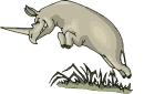 Rinoceronte