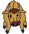 Toro