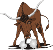 Toro