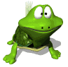 Tortuga