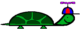 Tortugas
