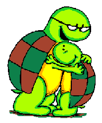 Tortuga