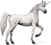 Unicornio