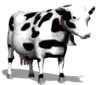Vaca