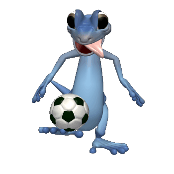 Animal Fantastico futbolista