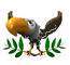 Aguila