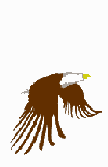 Aguila