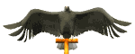 Aguila