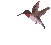 Ave